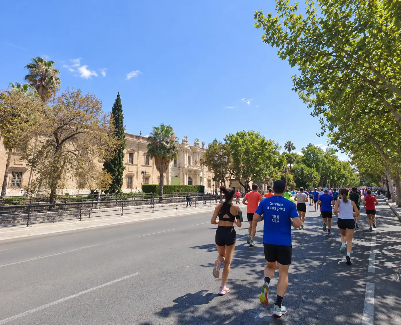 Corredores de la CEU SEVILLA 15K Experience junto a la Universidad de Sevilla